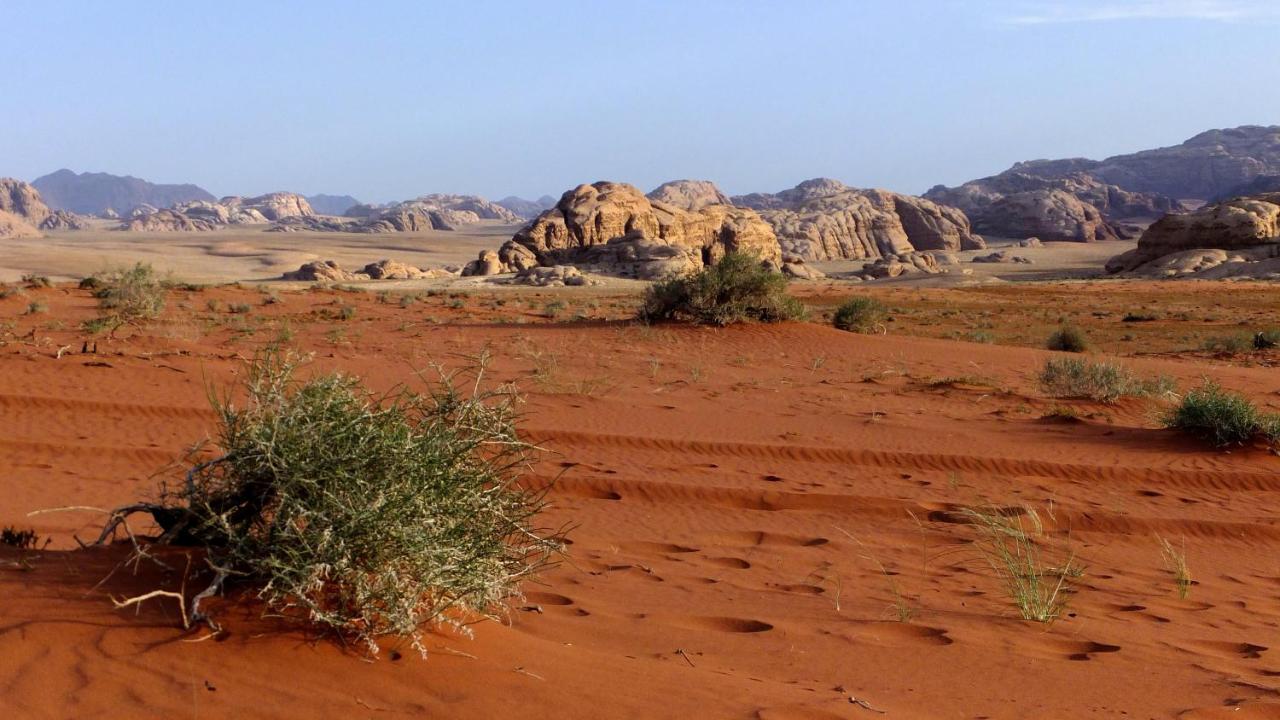 Salem Camp Hotel Wadi Rum Exterior foto